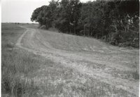 1995  Proposed Terracing project site on Dale Edmunds' farm