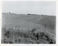 Photograph Collection Of Cropland  