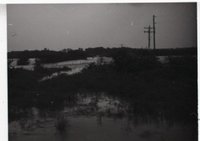 Unidentified Black and White Photo Negatives Showing Rural Scenes