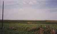 Pasture with Fence and Telephone Poll