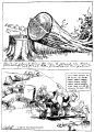 Isn't it about time for us to replant the trees for our great, great, etc., grandson's bungalow-- since we are cutting down our timber each year six times as fast as it can grow-- and it takes 300 years to grow a good saw log.