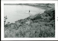 Photograph Collection of Carlson Pond, 1969
