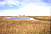 Waterway Construction on the Moeller Farm.
