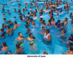 Swimmers