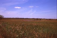 Larry Braby's Farm Before and After a Wetland Construction Project.
