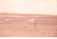 Fenced farmland with Water in the Field