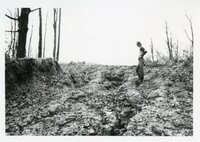 1980s - Results of too much rain
