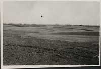 Contour plowing &amp; waterways on Sam Carpenter's farm.