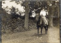 Traveling Horseback Librarian - Miss True 