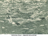 Seals Club synchronized swimmers, The University of Iowa, 1930s