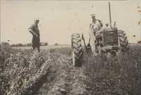 Unidentified farmers