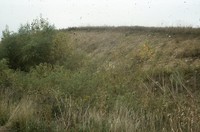 Man in eroded gully.