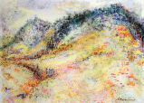 Tender terrain, tundra trailings