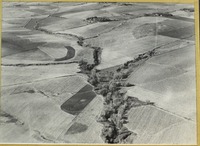 0259.  Mills County Farmland 