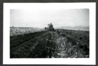 Plowing Farmland 
