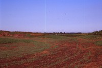 Water Basin and Pond on J. Ashland's Farm.