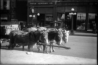 BI 202  Paule Jewelry with mules, wagon and cars