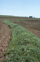 Quad State Progress Award to Frank Todd's farm.
