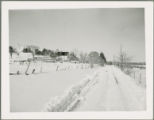 Plowed road passing a snow-covered farm with farmhouse and swine
