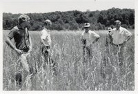 1970's Group of men in tall grass