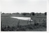 Photograph Collection Of Agricultural Land, 1973.