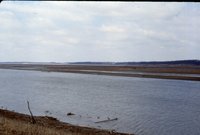 Receding water from farmland
