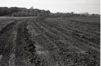 Drainage pipes in ground 