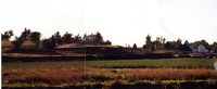 Terracing project