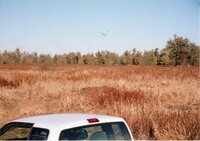 2002  A field with trees on the edge before a wetland Construction at Brockway LLLP