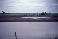 Farmland with water