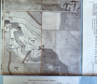 Mary Kay Williams conservation progress.