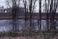 Watershed on the Cory Farm.