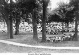 Pentacrest crowd, The University of Iowa, ca. 1905