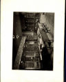 1914 Yearbook
