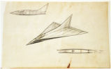 Delta Wing aircraft