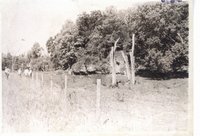 Below Tom Nielsen's trout pond, 1970