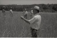 1970's Group of men in tall grass