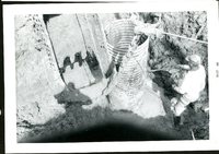 Kemp &amp; Kemp Repairing Inlet at Dr. Carlsen Pond, 1969