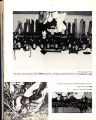 1974 Yearbook