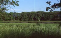 Pearson Lakes Art Center Site Location.
