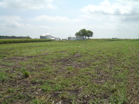 2007 Jack Strawhacker photos of pastures and ponds