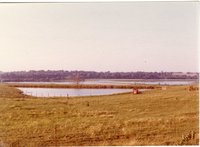 Ponds on Pasture Land