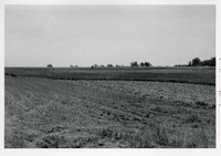 Photograph Collection Of Agricultural Land, 1973.