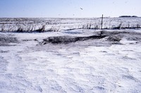 Snow in winter cover.