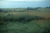 Forty ways of conservation in your community.