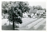 Bluegrass Drying After Harvesting in Orient, Iowa