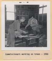 Commissioners Working on Trees.
