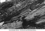 Carboniferous shale, Mena, Ark., late 1890s or early 1900s