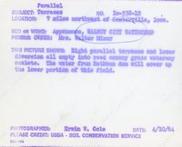 Parallel terraces, 1964
