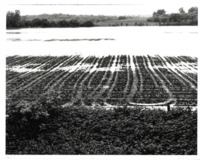 Farm Watershed Structures 